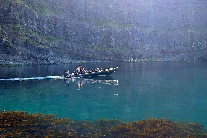 1 Hour Iceland Nature and Wildlife RIB Small Group Guided Safari - Key moments you can expect on this RIB safari
