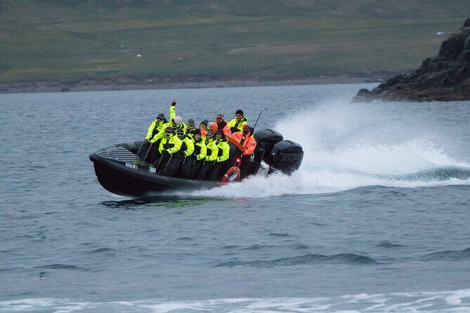 1 Hour Iceland Nature and Wildlife RIB Small Group Guided Safari - Seals and harbor turns that keep the ride interesting