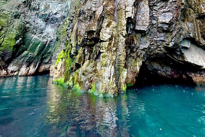 1 Hour Iceland Nature and Wildlife RIB Small Group Guided Safari - Price and value: is $160 worth a one-hour RIB?