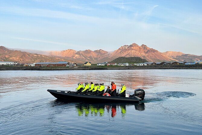 1 Hour Iceland Nature and Wildlife RIB Small Group Guided Safari - Who should book this, and who might prefer something else