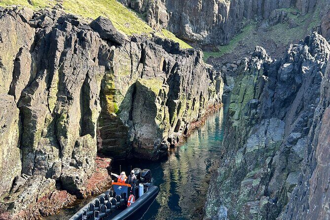 1 Hour Iceland Nature and Wildlife RIB Small Group Guided Safari - The “puffin focus” stretch along the cliffs