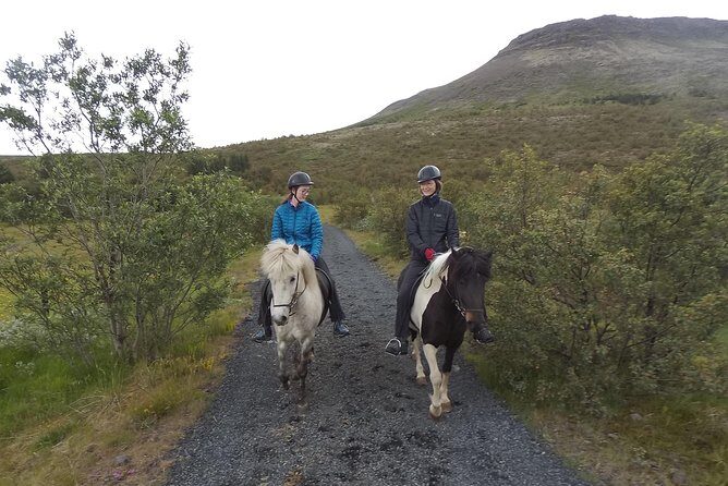 1+ hour Private Horse riding tour from Reykjavík/Mosfellsbær - Key highlights to care about