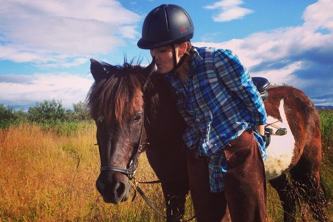 1+ hour Private Horse riding tour from Reykjavík/Mosfellsbær - Where this ride fits in your Reykjavík plan