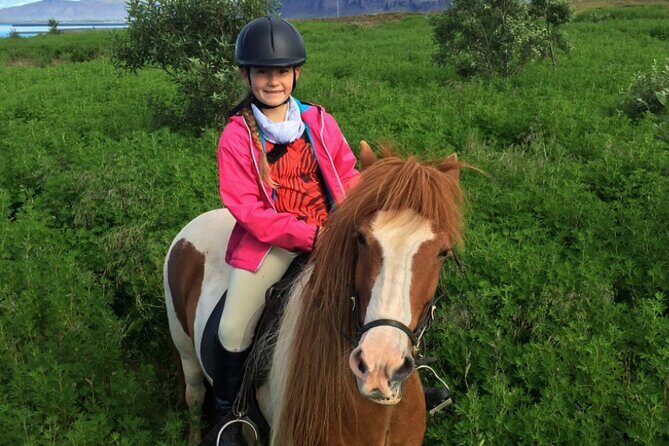 1+ hour Private Horse riding tour from Reykjavík/Mosfellsbær - The main ride: Mt. Úlfarsfell and the scenic rhythm