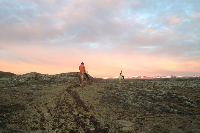 1+ hour Private Horse riding tour from Reykjavík/Mosfellsbær - Price and value: why this private ride can be a bargain