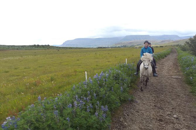 1+ hour Private Horse riding tour from Reykjavík/Mosfellsbær - Getting to Akrar 2: simple ways to arrive
