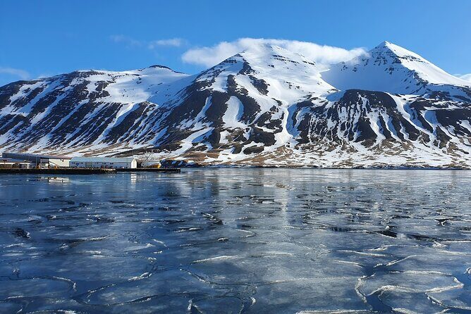 1-Hour Siglufjörður Stroll - Siglufjörður in One Hour: A Herring-Town Walk