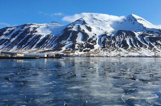 1-Hour Siglufjörður Stroll - Timing, Weather, and Why This Walk Needs the Right Day