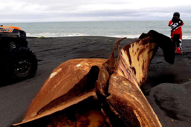 2-Hour Black Sand Beach Buggy Tour from Hella - The black sand beach segment: waves, photo stops, and time to drive