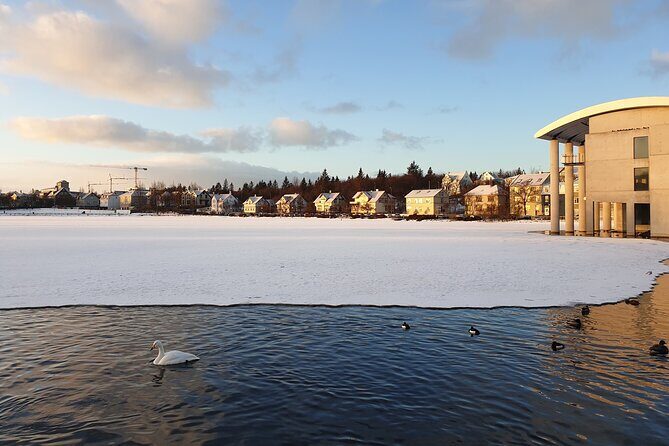 2-Hour Reykjavik Private Walking Tour - Parliament, old gardens, and Dómkirkjan nearby: government that feels human
