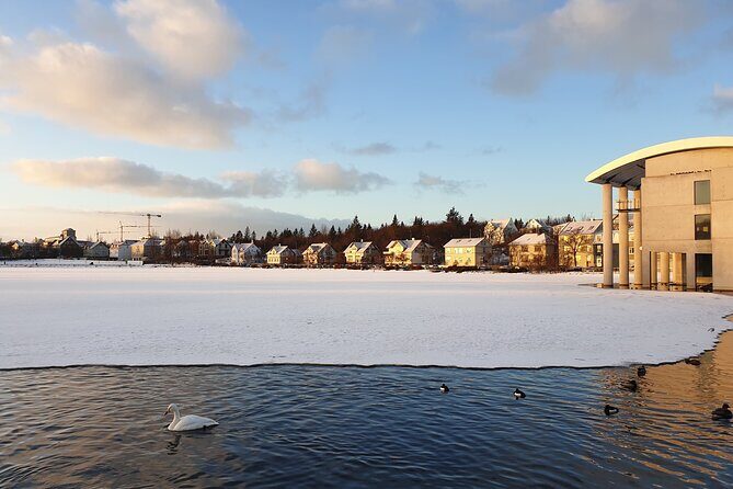 2-Hour Reykjavik Private Walking Tour - Reykjavik City Hall and Lake Tjörnin: the center’s calm counterpoint