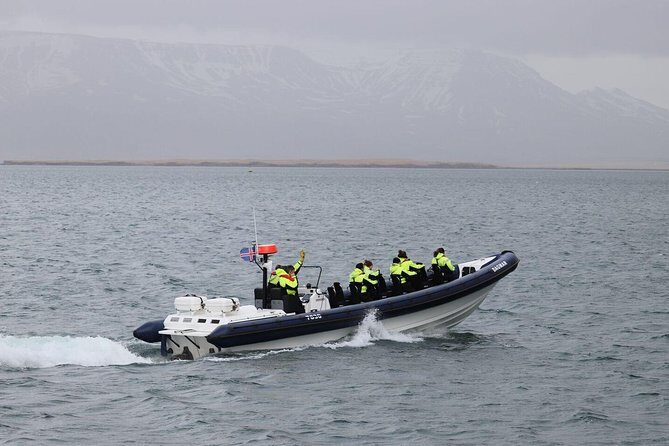 2-Hour RIB Boat Whale Watching Tour from Reykjavik - Key Things That Make This Tour Worth It