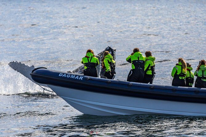2-Hour RIB Boat Whale Watching Tour from Reykjavik - The Expert Guide Effect: How Following Gets You Closer