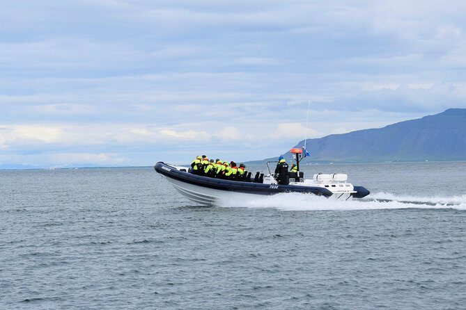 2-Hour RIB Boat Whale Watching Tour from Reykjavik - Reykjavík Coastline on the Way Back