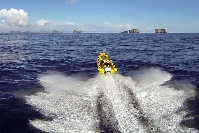 2 hour Round Trip in Vestmannaeyjar on a RIB Boat - Key things that make this RIB safari work so well