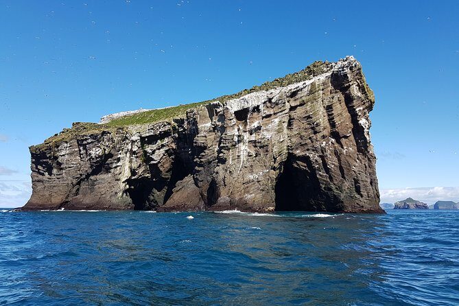 2 hour Round Trip in Vestmannaeyjar on a RIB Boat - Price and value: what $247.39 buys you in real terms