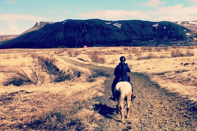 2 hours Private Horse Riding to Lake Hafravatn, Reykjavík - Mos - Key highlights you will feel from the start