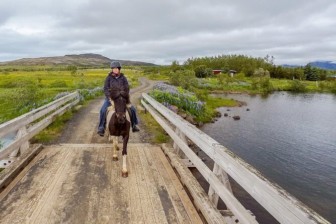 2 hours Private Horse Riding to Lake Hafravatn, Reykjavík - Mos - The 2 to 2.5 hour ride: lake Hafravatn views, fields, and mountain air