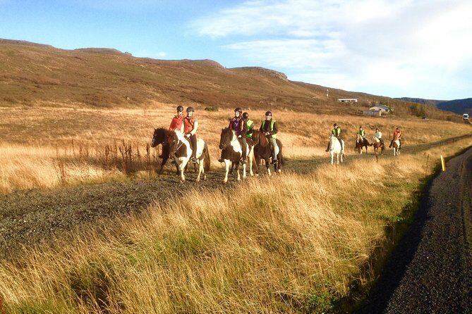 2 hours Private Horse Riding to Lake Hafravatn, Reykjavík - Mos - Price and value: is $210.26 per person worth it?