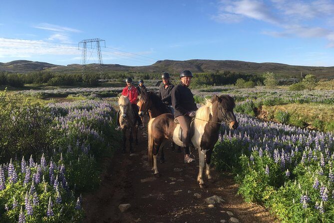 2 hours Private Horse Riding to Lake Hafravatn, Reykjavík - Mos - At the stable: prep time, horse matching, and first steps in the saddle