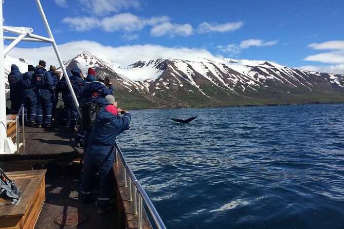7-Day Complete Iceland: South Coast, Golden Circle, Akureyri & Snaefellsnes - Day 3: East Fjords Country Roads and the Wilderness Center Night