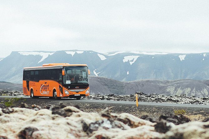 Airport Transfer in Iceland from Keflavik Airport to Reykjavik City one way - The 45-Minute Ride: What You Actually Get On Board