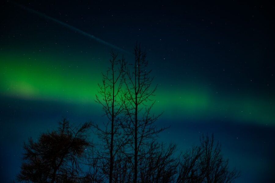Akureyri: Northern Lights Photography Tour - Price and Value: Is $194 Fair for This 3-Hour Night?