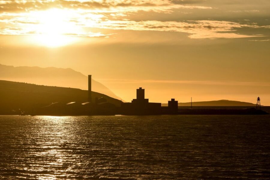 Akureyri: Whale Watching in the Midnight Sun - The guide, the whale diary, and learning fast without slowing down