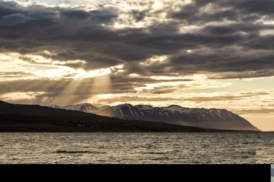 Akureyri: Whale Watching in the Midnight Sun - Comfort and practical touches: thermal gear, Wi‑Fi, and photos