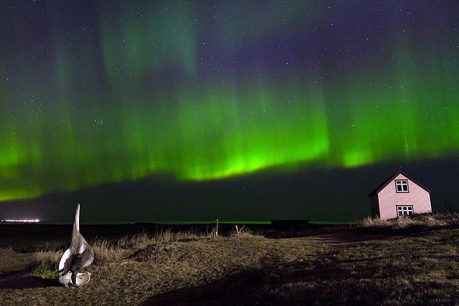 Blue Lagoon and Northern Lights Tour Including Admission - What happens during the northern lights safari