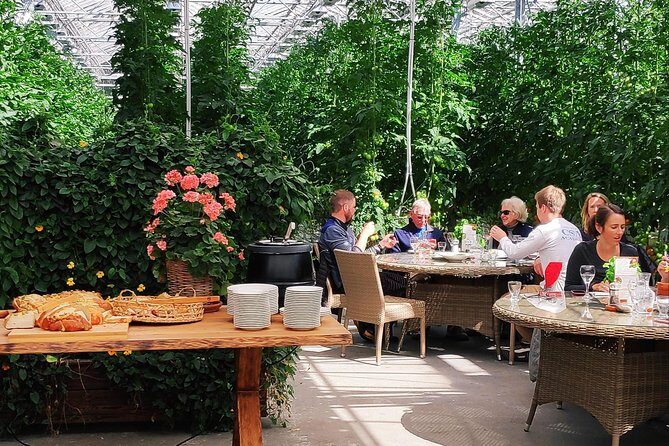 Blue lagoon Premium and Private Golden circle tour - Fridheimar eco-area: geothermal vegetables and a greenhouse lunch break