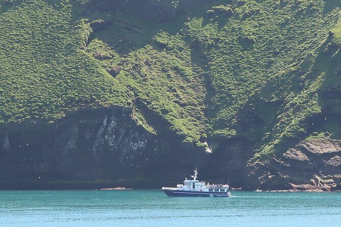 Boat Tour in Vestmannaeyjar - Puffins and Seabirds: What You’ll Likely See (and What You Might Not)