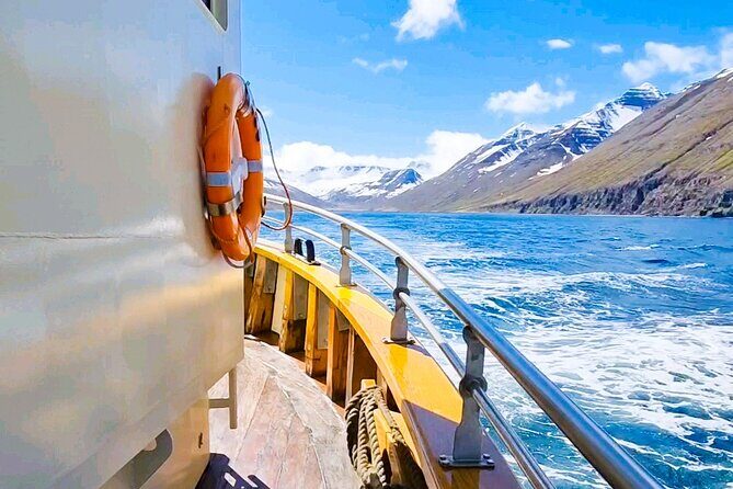 Boat Tours from Siglufjörður - Entering The Siglufjörður Fjord: What This 2.5-Hour Tour Feels Like