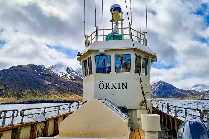 Boat Tours from Siglufjörður - Hvanndalabjarg: Iceland’s Highest Sea Cliff From a Moving View