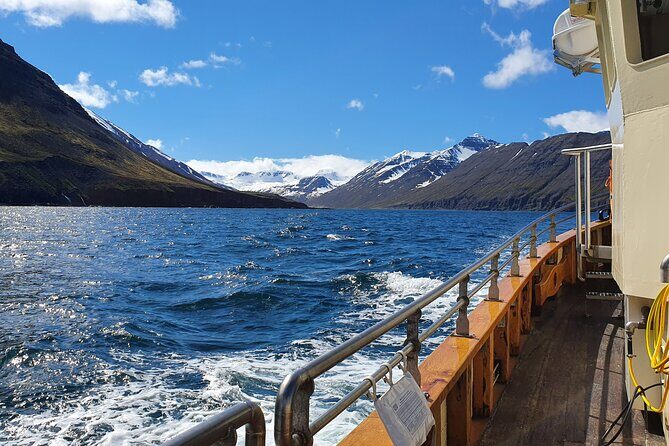 Boat Tours from Siglufjörður - Guides and Crew: When the Storytelling Makes the Trip