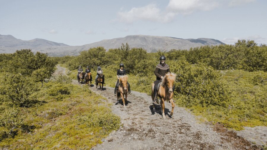 Borgarnes: Horseback Riding Tour with Prep Lesson - The Big Deal: The Indoor Arena Prep Lesson
