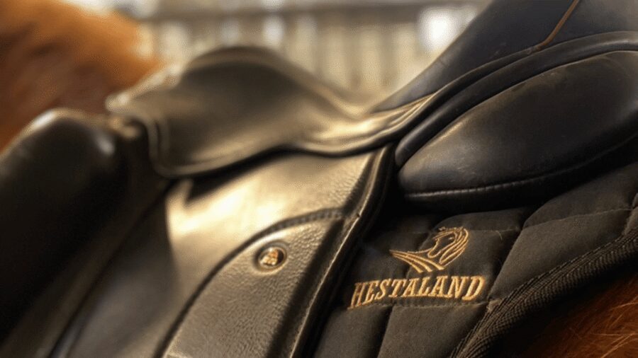 Borgarnes: Horseback Riding Tour with Prep Lesson - Tölt, Walk, and the Chance to Push Comfort (When It Fits)