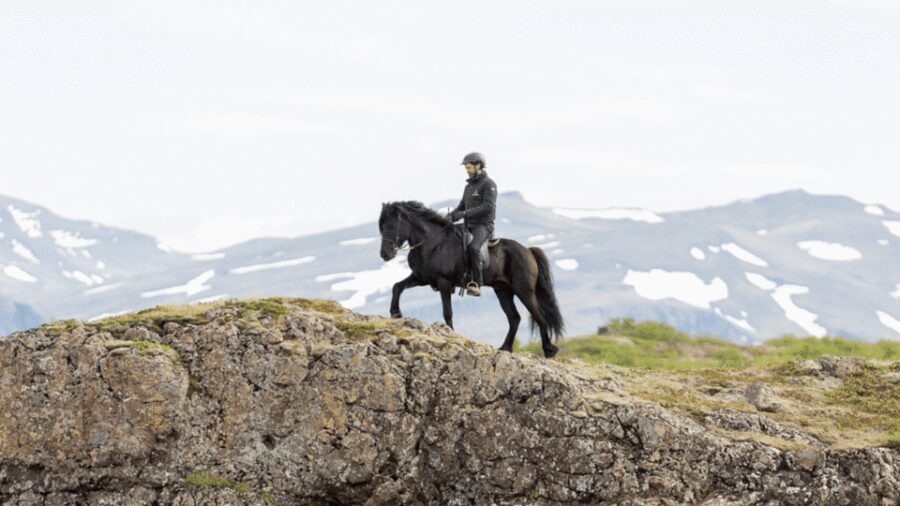 Borgarnes: Horseback Riding Tour with Prep Lesson - Who Should Book This 1.5-Hour Ride (and Who Should Think Bigger)