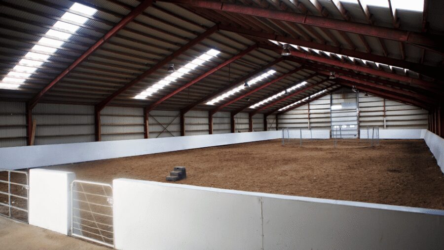 Borgarnes: Horseback Riding Tour with Prep Lesson - Price and Value: Is $109 Worth 1.5 Hours?
