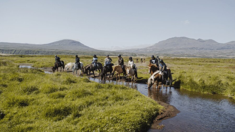 Borgarnes: Horseback Riding Tour with Prep Lesson - The 1.5-Hour Trail Ride: Views, Wind, and Feeling the Horse Move