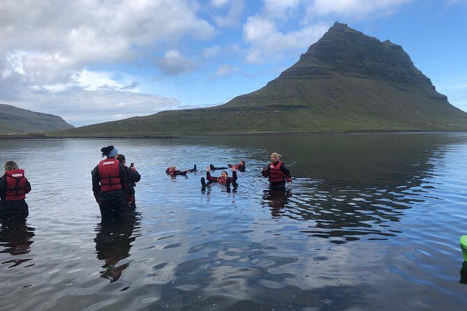 Classic Kayaking Adventure by Mt. Kirkjufell - Where You Start: Sæból 18 in Grundarfjörður