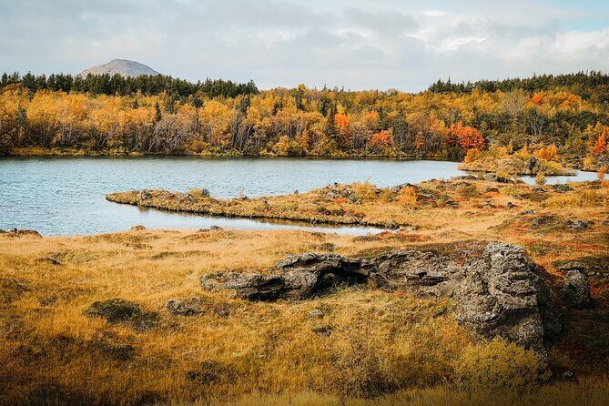 Cruise Tour Godafoss and Myvatn Lake and Baths Small Group - Key Highlights You’ll Actually Feel