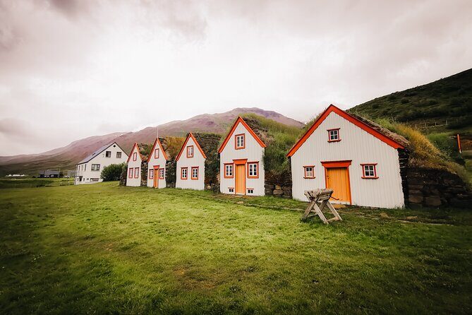 Cruise Tour Godafoss Turf Houses and Forest Baths Small Group - The guides: local stories, practical driving, and small-group attention