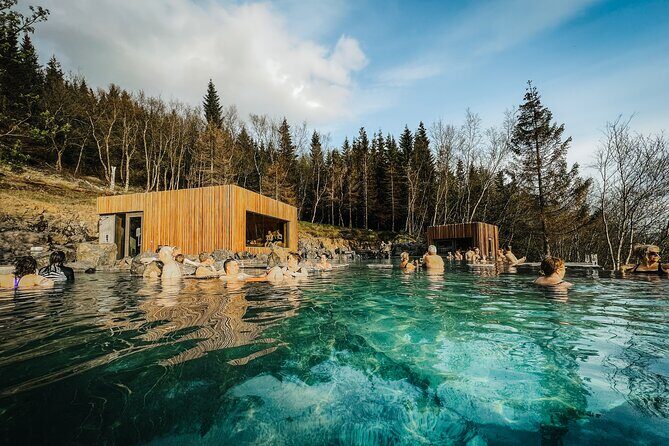 Cruise Tour Godafoss Turf Houses and Forest Baths Small Group - Timing that respects your cruise schedule