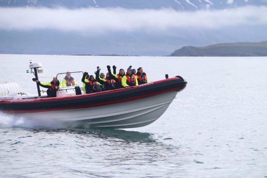 Dalvík: Whale Watching Speedboat Tour - Eyjafjörður cruise time: scenic scanning and marine-life watching