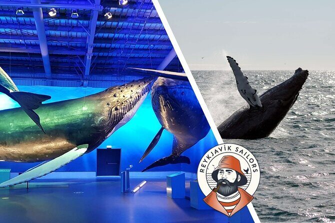 Deluxe Whale Watching and Whales of Iceland Exhibition Combo from Reykjavik - Who This Tour Suits Best (and Who Might Want Another Option)
