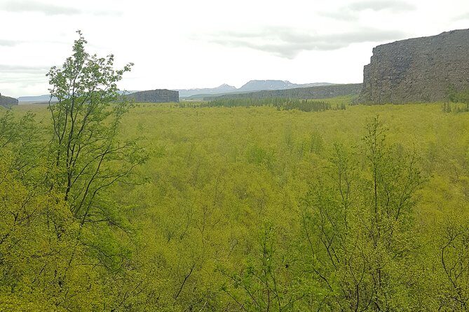 Diamond Circle, Waterfalls and Amazing Landscapes from Akureyri - Ásbyrgi Canyon and Hljodaklettar: the horseshoe shape and the cliff views
