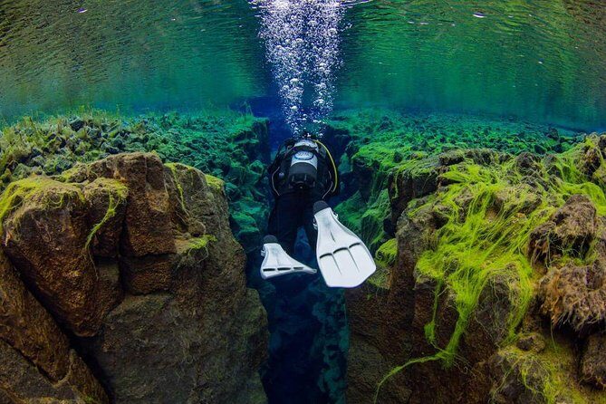 Dive the Divide: Silfra Fissure Scuba Tour | Reykjavik Pickup - The underwater route at Silfra: Deep Crack to Cathedral to Lagoon