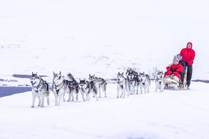 Dog Sledding Tour near Akureyri - The Akureyri-to-Fjord Setting That Makes the Ride Feel Special