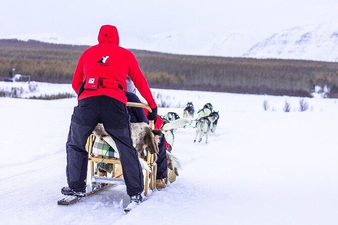 Dog Sledding Tour near Akureyri - The Sled Ride Through Hills and Forest Near the Ocean and Fjord